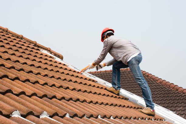 Best Sheet Metal Roofing  in Daytona Beach Shores, FL